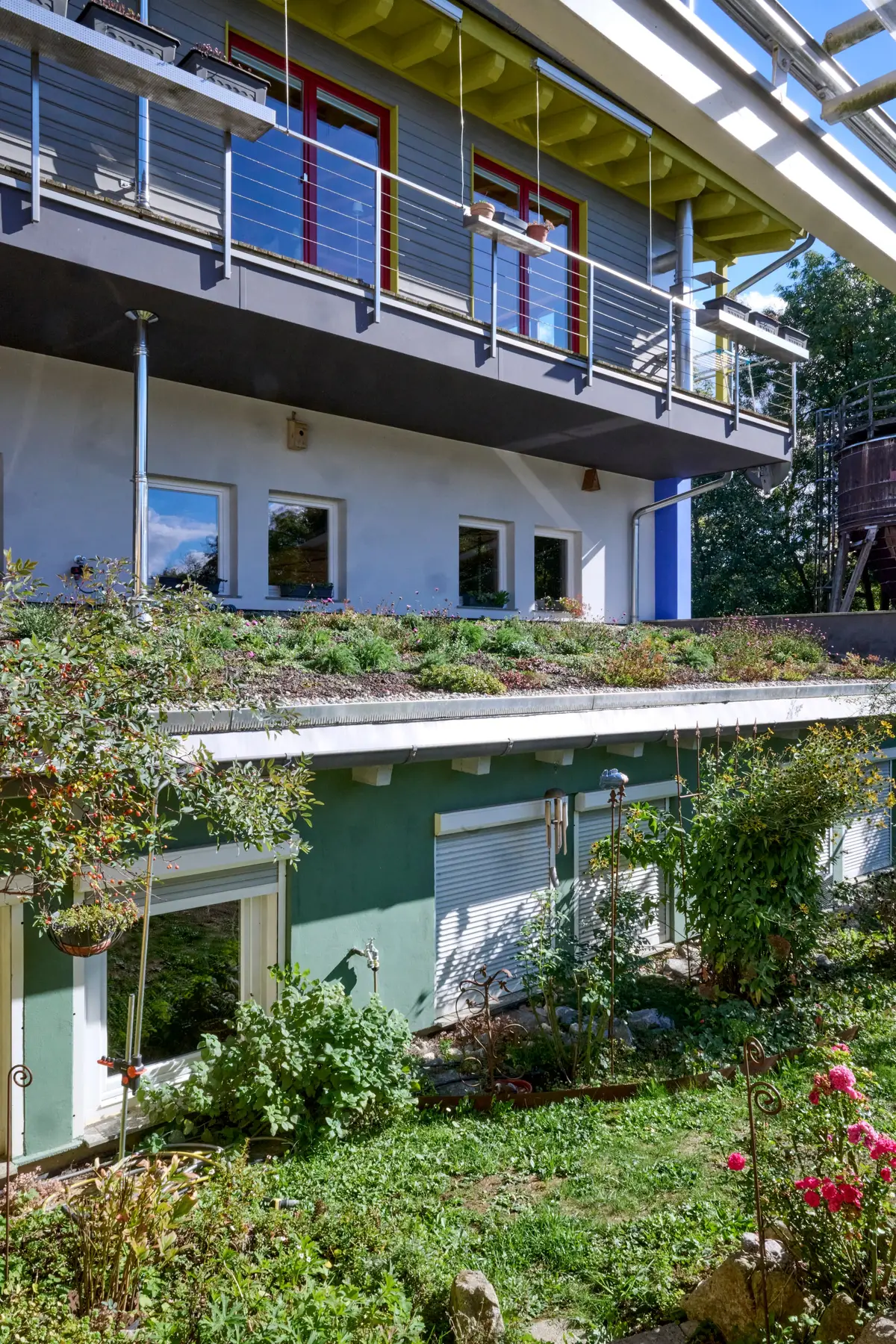 Wohnhaus mit grüner Fassade und begrüntem Dach